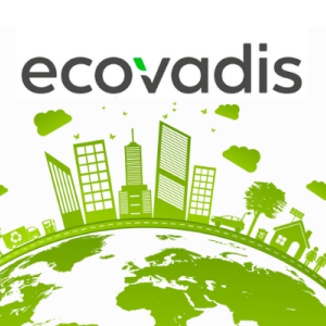 EcoVadis Sustainability Silver Medal